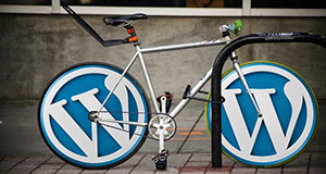 wordpress-300_160.